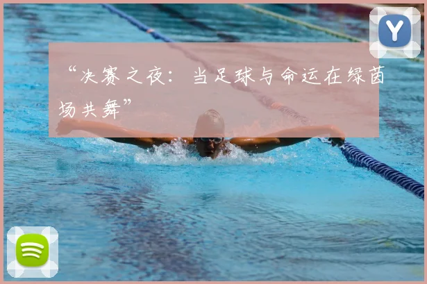 “决赛之夜:当足球与命运在绿茵场共舞”